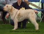 Filename=J-SweetLittleMystery.jpg
Filesize=53KiB
Dimensions=600x469
Date added=Sep 16, 2009 J-SweetLittleMystery.jpg