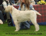 Filename=K-Newl.jpg
Filesize=59KiB
Dimensions=600x470
Date added=Sep 16, 2009 K-Newl.jpg