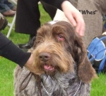 Filename=K-Whes2.jpg
Filesize=59KiB
Dimensions=600x543
Date added=Sep 16, 2009 K-Whes2.jpg