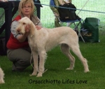 Filename=O-LifesLove.jpg
Filesize=56KiB
Dimensions=600x511
Date added=Sep 16, 2009 O-LifesLove.jpg