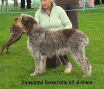 Dateiname=S-Donatella.jpg
Dateigröße=73KB
Abmessungen: 600x513
hinzugefügt am: 16. September 2009 S-Donatella.jpg
