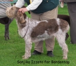 Dateiname=S-Izzeta.jpg
Dateigröße=59KB
Abmessungen: 600x523
hinzugefügt am: 16. September 2009 S-Izzeta.jpg