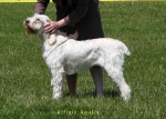 Filename=A-Amelia.jpg
Filesize=56KiB
Dimensions=700x500
Date added=Sep 16, 2009 A-Amelia.jpg