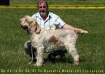 Filename=B-Boscarelli.jpg
Filesize=58KiB
Dimensions=700x500
Date added=Sep 16, 2009 B-Boscarelli.jpg