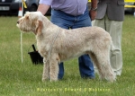 Filename=B-EdwardGRobinson.jpg
Filesize=40KiB
Dimensions=700x500
Date added=Sep 16, 2009 B-EdwardGRobinson.jpg