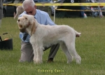 Dateiname=C-Carlo.jpg
Dateigröße=41KB
Abmessungen: 700x500
hinzugefügt am: 16. September 2009 C-Carlo.jpg
