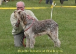 Filename=O-Jackaroo.jpg
Filesize=48KiB
Dimensions=700x500
Date added=Sep 16, 2009 O-Jackaroo.jpg