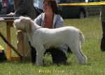 Filename=R-Cristal.jpg
Filesize=41KiB
Dimensions=700x500
Date added=Sep 16, 2009 R-Cristal.jpg