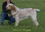 Filename=R-LiveTheDream.jpg
Filesize=39KiB
Dimensions=700x500
Date added=Sep 16, 2009 R-LiveTheDream.jpg