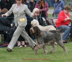Filename=B-RoyOfTheRovers-3.jpg
Filesize=66KiB
Dimensions=650x555
Date added=Sep 16, 2009 B-RoyOfTheRovers-3.jpg