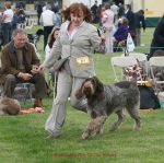Filename=B-RoyOfTheRovers-5.jpg
Filesize=68KiB
Dimensions=650x648
Date added=Sep 16, 2009 B-RoyOfTheRovers-5.jpg