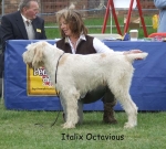 Filename=I-Octavious.jpg
Filesize=70KiB
Dimensions=600x543
Date added=Sep 16, 2009 I-Octavious.jpg