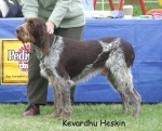 Filename=K-Heskin.jpg
Filesize=67KiB
Dimensions=600x486
Date added=Sep 16, 2009 K-Heskin.jpg