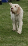 Filename=K-Newl-3.jpg
Filesize=47KiB
Dimensions=400x644
Date added=Sep 16, 2009 K-Newl-3.jpg