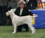 Filename=K-Trevy.jpg
Filesize=52KiB
Dimensions=650x549
Date added=Sep 16, 2009 K-Trevy.jpg