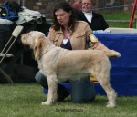 Filename=S-Nettezza.jpg
Filesize=66KiB
Dimensions=650x560
Date added=Sep 16, 2009 S-Nettezza.jpg