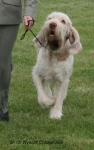 Filename=W-CrackerJack-3.jpg
Filesize=62KiB
Dimensions=400x633
Date added=Sep 16, 2009 W-CrackerJack-3.jpg