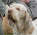 Filename=W-CrackerJack2.jpg
Filesize=57KiB
Dimensions=600x580
Date added=Sep 16, 2009 W-CrackerJack2.jpg