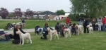 Filename=juniordog.JPG
Filesize=49KiB
Dimensions=600x284
Date added=Sep 16, 2009 juniordog.JPG