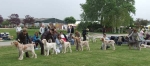 Filename=limitdog.JPG
Filesize=47KiB
Dimensions=600x264
Date added=Sep 16, 2009 limitdog.JPG