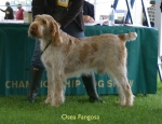 Dateiname=O-Fangosa.jpg
Dateigröße=58KB
Abmessungen: 650x500
hinzugefügt am: 16. September 2009 O-Fangosa.jpg