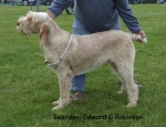 Filename=B-EdwardGRobinson.jpg
Filesize=69KiB
Dimensions=600x463
Date added=Sep 16, 2009 B-EdwardGRobinson.jpg