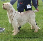Filename=W-Xpress.jpg
Filesize=95KiB
Dimensions=600x563
Date added=Sep 16, 2009 W-Xpress.jpg