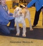 Filename=H-Moreschi.jpg
Filesize=141KiB
Dimensions=1128x1188
Date added=Sep 16, 2009 H-Moreschi.jpg