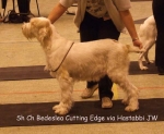 Filename=B-CuttingEdge.jpg
Filesize=50KiB
Dimensions=600x493
Date added=Sep 16, 2009 B-CuttingEdge.jpg