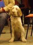 Filename=Corbett.JPG
Filesize=56KiB
Dimensions=600x801
Date added=Sep 16, 2009 Corbett.JPG