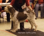 Filename=H-CaffeLatte.jpg
Filesize=53KiB
Dimensions=600x503
Date added=Sep 16, 2009 H-CaffeLatte.jpg