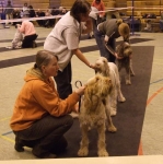 Filename=Open Class.JPG
Filesize=66KiB
Dimensions=600x602
Date added=Sep 16, 2009 Open Class.JPG