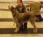 Filename=S-Enigma.jpg
Filesize=54KiB
Dimensions=600x508
Date added=Sep 16, 2009 S-Enigma.jpg