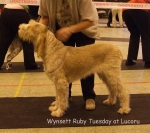 Filename=W-RubyTuesday.jpg
Filesize=56KiB
Dimensions=600x532
Date added=Sep 16, 2009 W-RubyTuesday.jpg