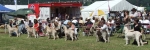 Filename=LB2.JPG
Filesize=47KiB
Dimensions=600x200
Date added=Sep 16, 2009 LB2.JPG