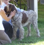 Filename=R-Fable.jpg
Filesize=74KiB
Dimensions=600x610
Date added=Sep 16, 2009 R-Fable.jpg
