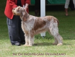 Filename=I-Dessinzano.jpg
Filesize=69KiB
Dimensions=650x500
Date added=Sep 16, 2009 I-Dessinzano.jpg