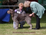 Filename=K-Adhewans.jpg
Filesize=70KiB
Dimensions=650x500
Date added=Sep 16, 2009 K-Adhewans.jpg