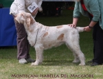 Filename=M-Isabella.jpg
Filesize=62KiB
Dimensions=650x500
Date added=Sep 16, 2009 M-Isabella.jpg