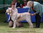 Filename=M-ItSALoveThing.jpg
Filesize=64KiB
Dimensions=650x500
Date added=Sep 16, 2009 M-ItSALoveThing.jpg
