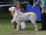 Filename=M-JustPeachy.jpg
Filesize=62KiB
Dimensions=650x500
Date added=Sep 16, 2009 M-JustPeachy.jpg