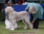 Filename=M-MoonRiver.jpg
Filesize=62KiB
Dimensions=650x500
Date added=Sep 16, 2009 M-MoonRiver.jpg