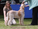 Filename=M-Uma.jpg
Filesize=59KiB
Dimensions=650x500
Date added=Sep 16, 2009 M-Uma.jpg