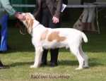 Nom du fichier=R-Luciano.jpg
Taille du fichier=62Ko
Dimensions : 650x500
Ajouté le : 16 Septembre 2009 R-Luciano.jpg