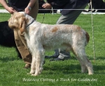 Filename=B-CuttingADash.jpg
Filesize=75KiB
Dimensions=600x493
Date added=Sep 16, 2009 B-CuttingADash.jpg