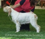 Filename=B-CuttingEdge.jpg
Filesize=64KiB
Dimensions=600x526
Date added=Sep 16, 2009 B-CuttingEdge.jpg