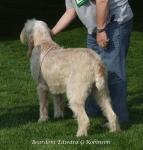 Filename=B-EdwardGRobinson.jpg
Filesize=79KiB
Dimensions=600x626
Date added=Sep 16, 2009 B-EdwardGRobinson.jpg