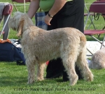 Filename=C-RockNRollParty.jpg
Filesize=76KiB
Dimensions=600x540
Date added=Sep 16, 2009 C-RockNRollParty.jpg