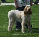 Filename=M-JustEva.jpg
Filesize=80KiB
Dimensions=600x560
Date added=Sep 16, 2009 M-JustEva.jpg