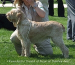 Filename=O-BreathOfHope.jpg
Filesize=71KiB
Dimensions=600x520
Date added=Sep 16, 2009 O-BreathOfHope.jpg